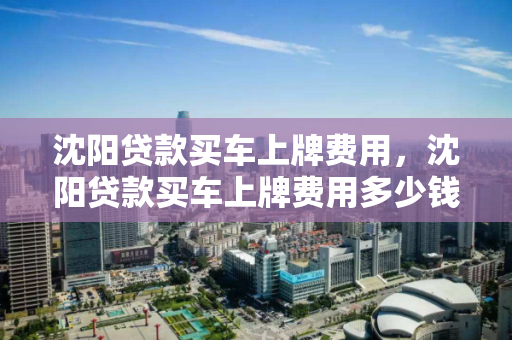 沈阳贷款买车上牌费用，沈阳贷款买车上牌费用多少钱，沈阳贷款购车上牌费用解析