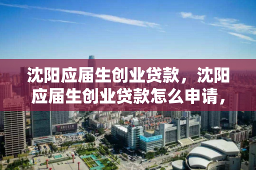 沈阳应届生创业贷款，沈阳应届生创业贷款怎么申请，沈阳应届生创业贷款申请指南