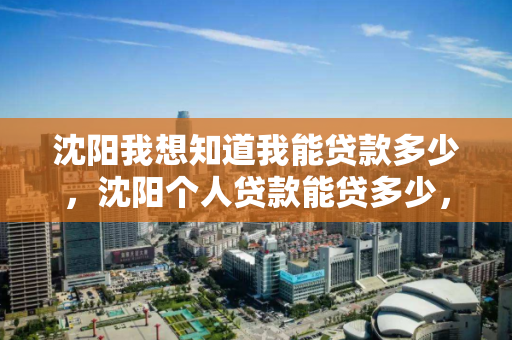 沈阳我想知道我能贷款多少,沈阳个人贷款能贷多少,沈阳个人贷款额度查询指南 沈阳我想知道我能贷款多少,沈阳个人贷款能贷多少,沈阳个人贷款额度查询指南
